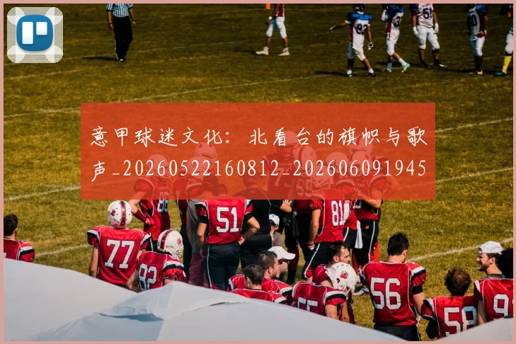意甲球迷文化：北看台的旗帜与歌声_20260522160812_20260609194506